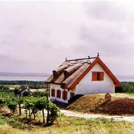 Vadvirag Vendeghaz